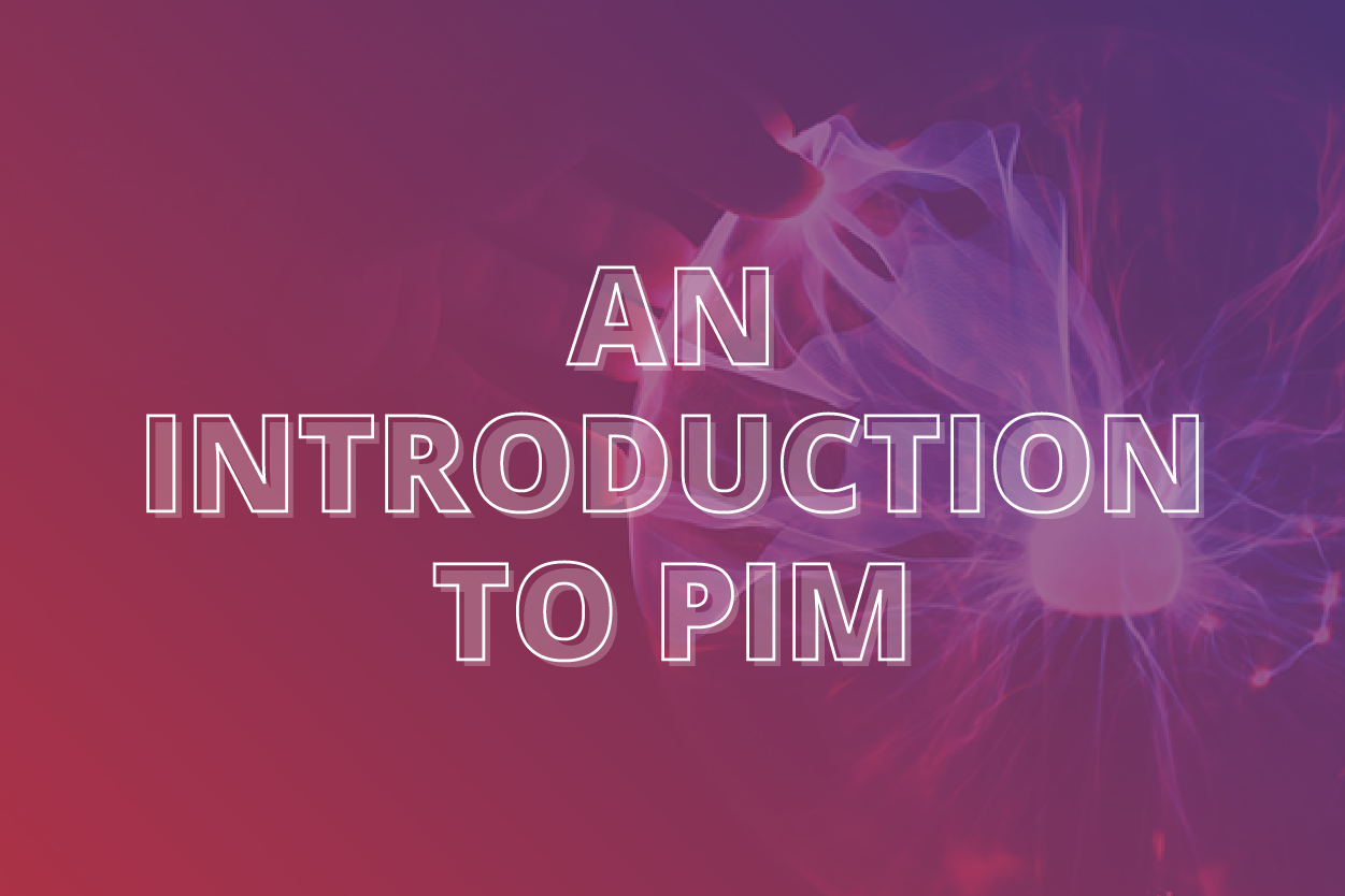 An introduction to PIM
